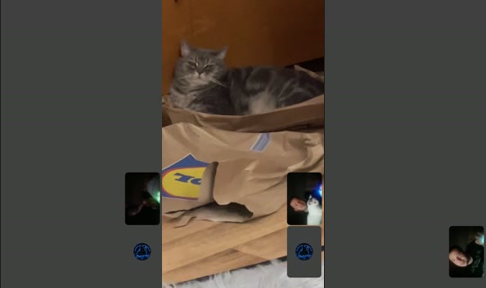 natlie8301 TikTok Live — Aug 31, 2026, 7:18 PM