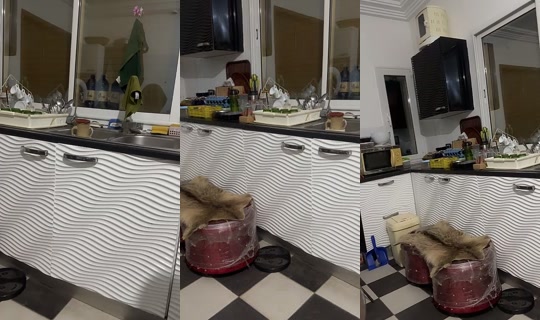 nazekmeuble1 TikTok Live — Oct 2, 2026, 8:24 PM