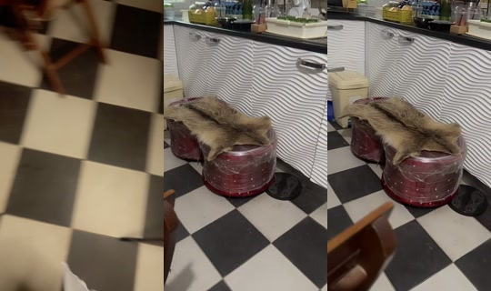 nazekmeuble1 TikTok Live — Oct 4, 2026, 4:38 PM