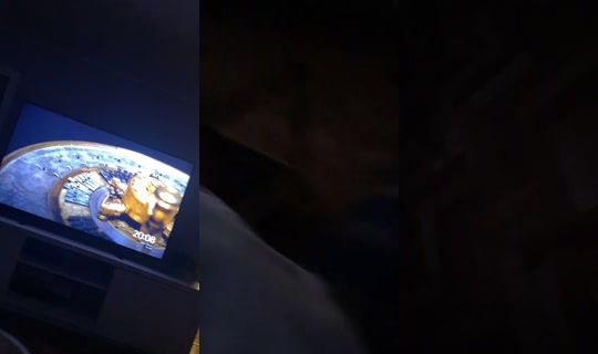 nellie.aandersson TikTok Live — Sep 14, 2026, 6:08 PM