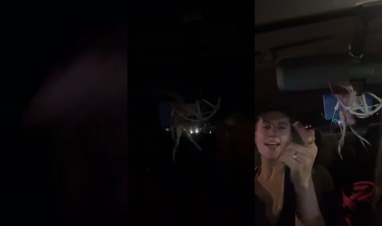 nessaleighv TikTok Live — Sep 2, 2026, 4:52 AM