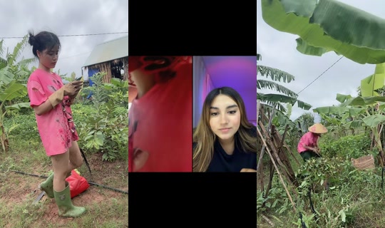 nhuylee.2000 TikTok Live — Sep 1, 2026, 12:45 AM