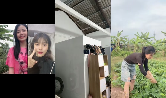 nhuylee.2000 TikTok Live — Oct 3, 2026, 10:32 PM