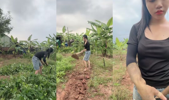 nhuylee.2000 TikTok Live — Oct 3, 2026, 11:22 PM