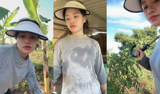 nhuylee.2000 TikTok Live — Oct 4, 2026, 11:45 PM