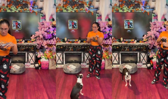 nikki_cherryblossom TikTok Live — Sep 30, 2026, 2:21 AM