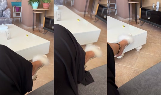 nilfer078 TikTok Live — Aug 20, 2026, 11:38 AM