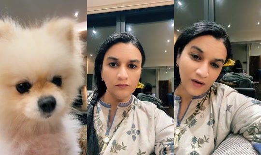 ninareveofficial TikTok Live — Aug 24, 2026, 9:13 PM