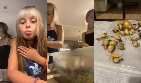 ninelll15 TikTok Live — Aug 22, 2026, 11:00 PM