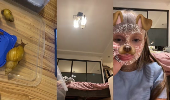 ninelll15 TikTok Live — Aug 27, 2026, 7:33 PM