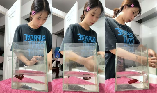 ninicha214 TikTok Live — Sep 30, 2026, 9:55 AM