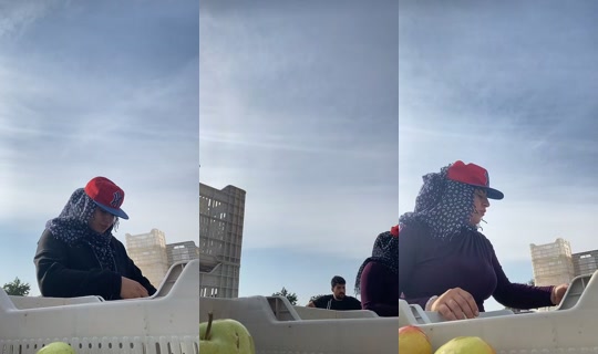 nisaa_1649 TikTok Live — Oct 8, 2026, 7:19 AM