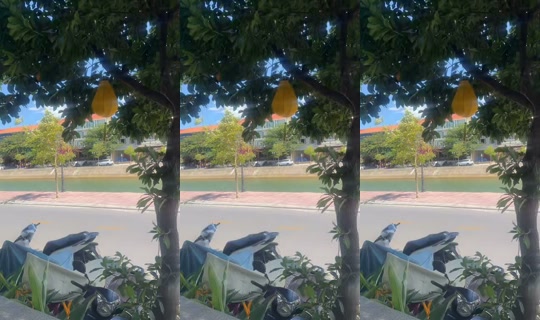 niychiverse TikTok Live — Aug 26, 2026, 6:54 AM