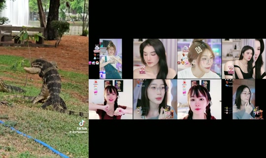 nntkdpss TikTok Live — Aug 22, 2026, 2:06 AM