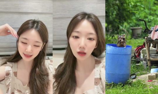 nnynny559 TikTok Live — Sep 1, 2026, 2:16 PM