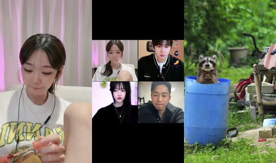 nnynny559 TikTok Live — Oct 4, 2026, 1:42 PM