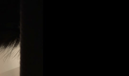 nod10_ TikTok Live — Oct 7, 2026, 8:01 AM