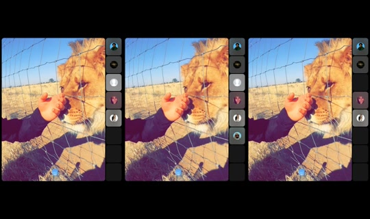 nofreewill2 TikTok Live — Oct 4, 2026, 3:07 AM