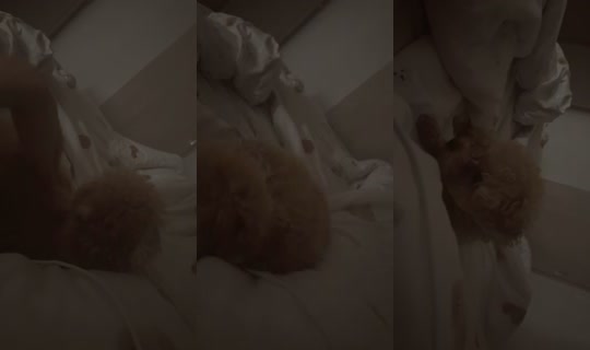 nona___18__ TikTok Live — Sep 15, 2026, 8:20 PM