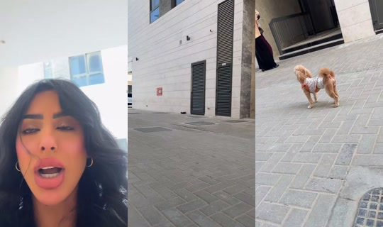 noonii0xx0 TikTok Live — Oct 3, 2026, 11:47 AM