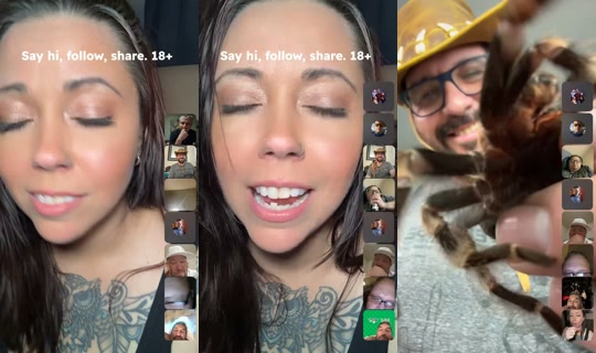 notes.by.vanessa444 TikTok Live — Aug 30, 2026, 5:14 AM