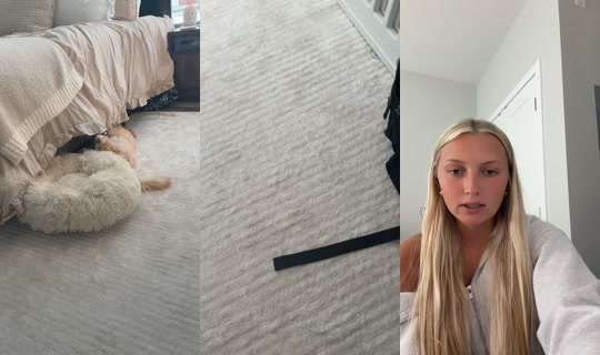 notkenziedeblas TikTok Live — Aug 24, 2026, 5:00 PM