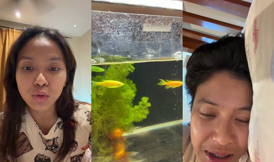 nudeggets TikTok Live — Sep 28, 2026, 2:22 PM