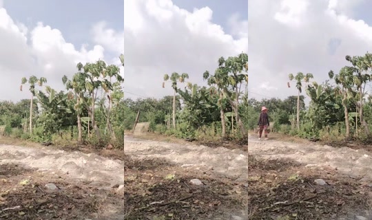 numai098 TikTok Live — Oct 4, 2026, 7:52 AM