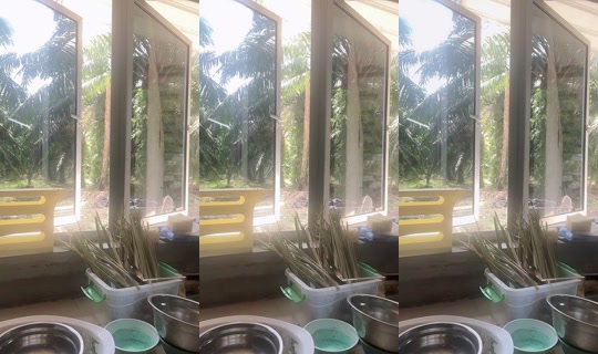 nunha_jrm TikTok Live — Aug 23, 2026, 2:56 AM