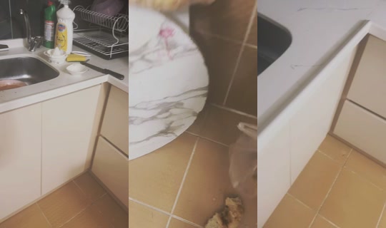 nur_060606 TikTok Live — Aug 27, 2026, 9:49 PM