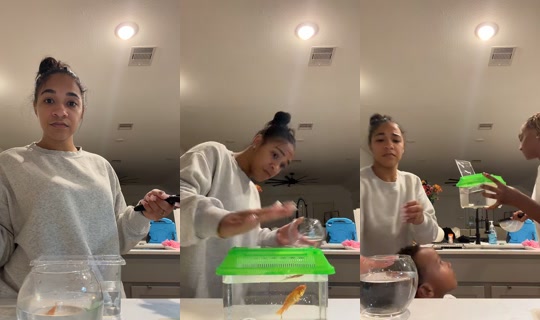 nuxbug1 TikTok Live — Oct 2, 2026, 1:12 AM