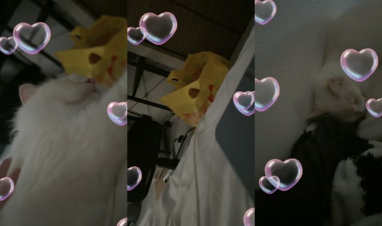 nvxxs.01 TikTok Live — Oct 6, 2026, 6:33 AM
