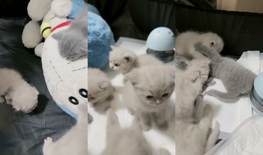 nxpnn_ny TikTok Live — Sep 12, 2026, 7:38 AM