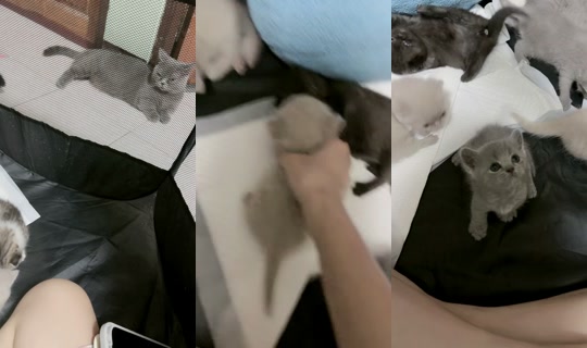 nxpnn_ny TikTok Live — Sep 13, 2026, 4:24 AM
