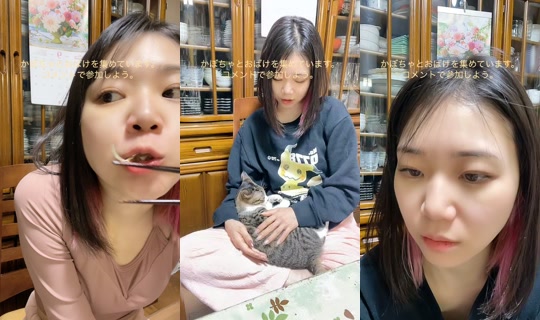 nyanchanuniverse TikTok Live — Oct 3, 2026, 10:24 AM