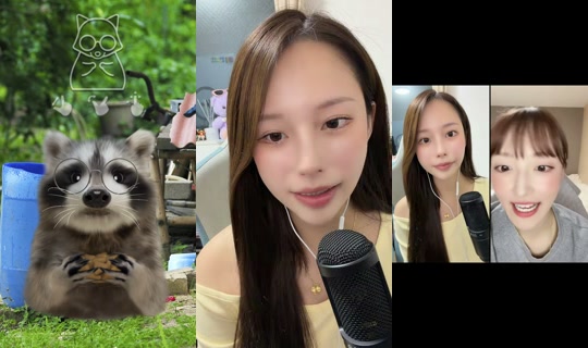 nyonnyonchan0 TikTok Live — Sep 17, 2026, 11:10 AM