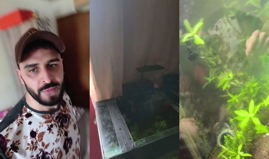 o.piezon TikTok Live — Aug 29, 2026, 3:46 PM