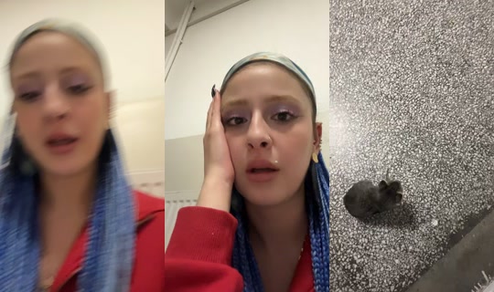 obsidiansstorm TikTok Live — Oct 8, 2026, 1:20 AM
