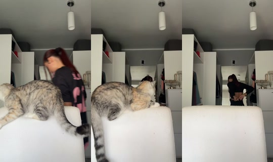 oezguel.03 TikTok Live — Sep 19, 2026, 11:20 AM