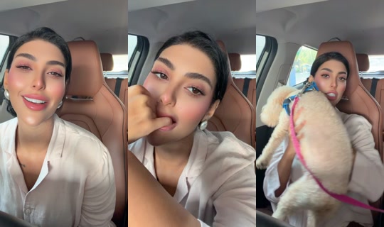 official.ansam TikTok Live — Aug 25, 2026, 12:02 PM