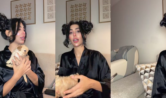 official.ansam TikTok Live — Aug 28, 2026, 8:56 PM