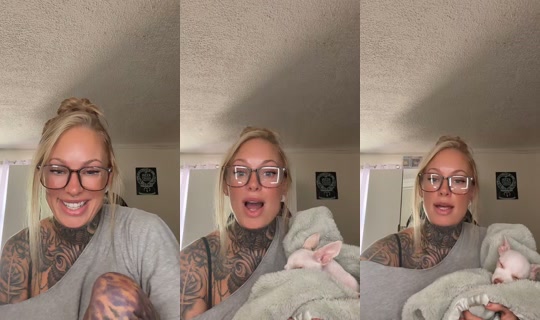 officialdpxoxo TikTok Live — Aug 25, 2026, 4:03 PM