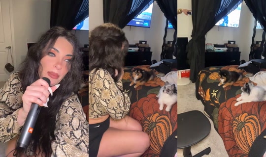 officiallyashleyq TikTok Live — Oct 8, 2026, 11:34 PM