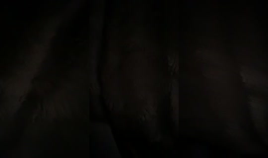 oh_smokey1 TikTok Live — Sep 20, 2026, 4:40 PM