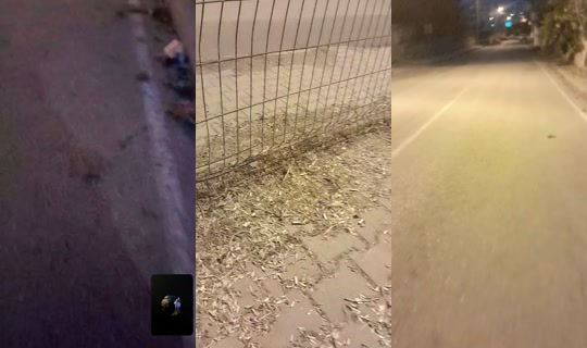 oksan4850 TikTok Live — Aug 29, 2026, 4:36 PM