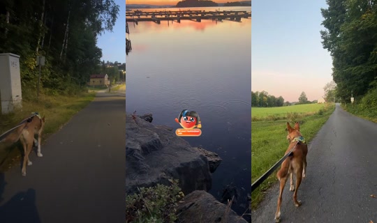 ola_dunk_ TikTok Live — Aug 26, 2026, 3:19 AM