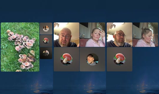 ola_dunk_ TikTok Live — Oct 5, 2026, 7:55 AM