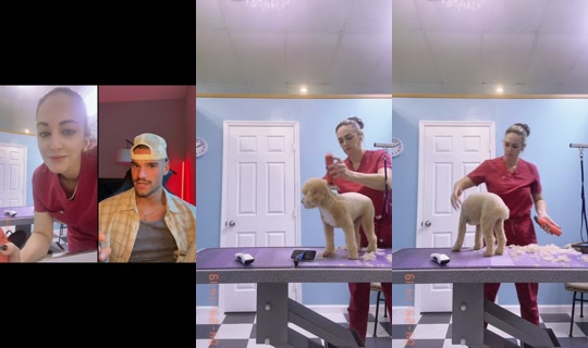 olderisbetter4u TikTok Live — Aug 28, 2026, 1:46 PM