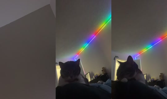 oliviaaa._2005 TikTok Live — Oct 8, 2026, 8:39 AM
