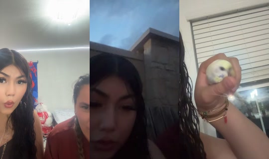 omelianoriega1 TikTok Live — Aug 26, 2026, 1:53 AM